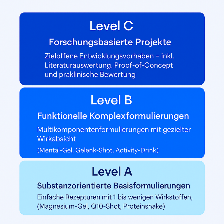 Strukturierte Darstellung der drei Forschungs- und Projektlevels A, B und C mit kurzen Beschreibungen.